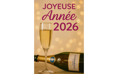 Meilleurs vœux 2026